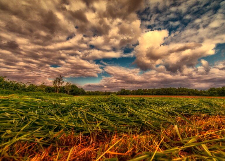 Landschaftsaufnahme mit einem weiten Grasfeld und einem dramatischen Himmel voller Wolken im Kreis Heinsberg
