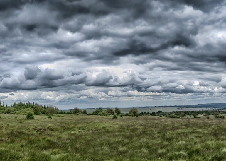 Panoramablick über das Hohen Venn in der Eifel mit weitläufigen Wiesen, dichtem Wald und dramatischen Wolken