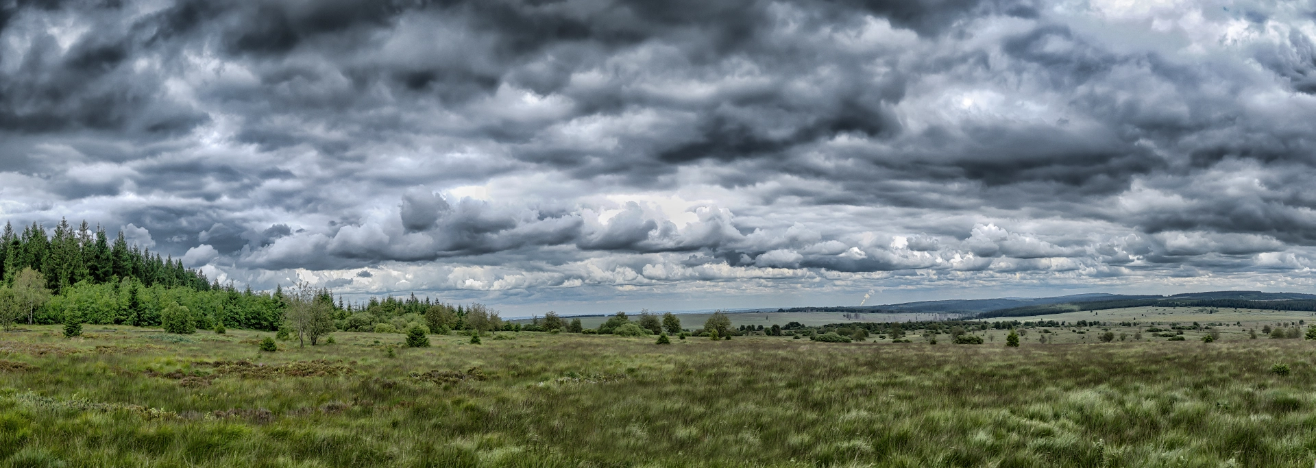 Panoramablick über das Hohen Venn in der Eifel mit weitläufigen Wiesen, dichtem Wald und dramatischen Wolken