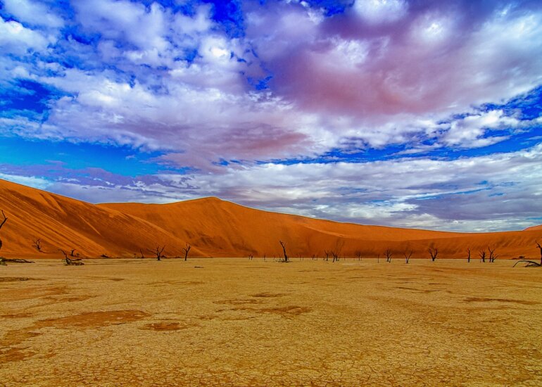 Trockene, rissige Tonfläche mit uralten abgestorbenen Bäumen und imposanten roten Dünen unter einem klaren Himmel in der Deadvlei, Namibia