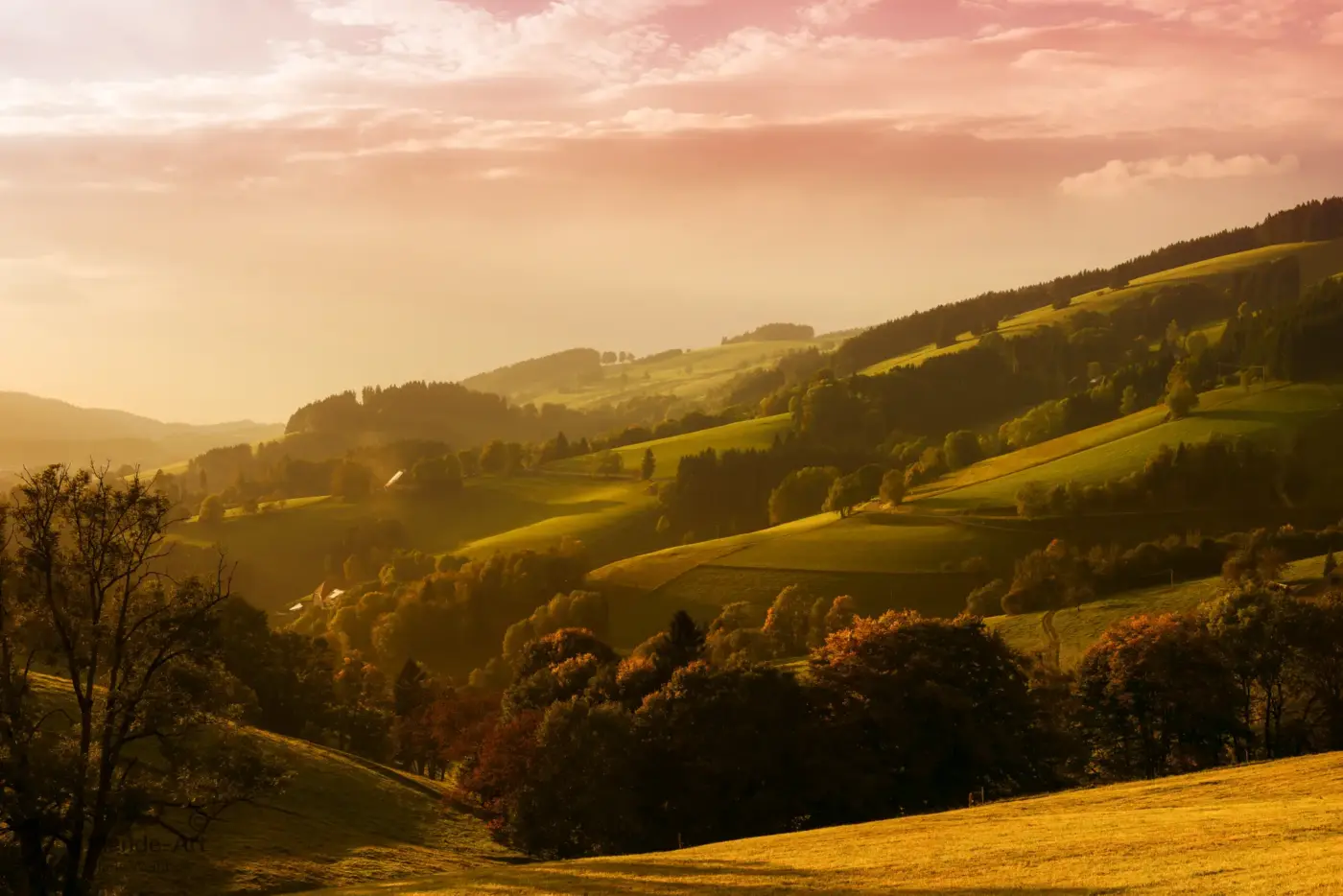 Spätnachmittag im Schwarzwald bei St. Märgen mit sanften Hügeln, Wiesen und herbstlich gefärbtem Licht