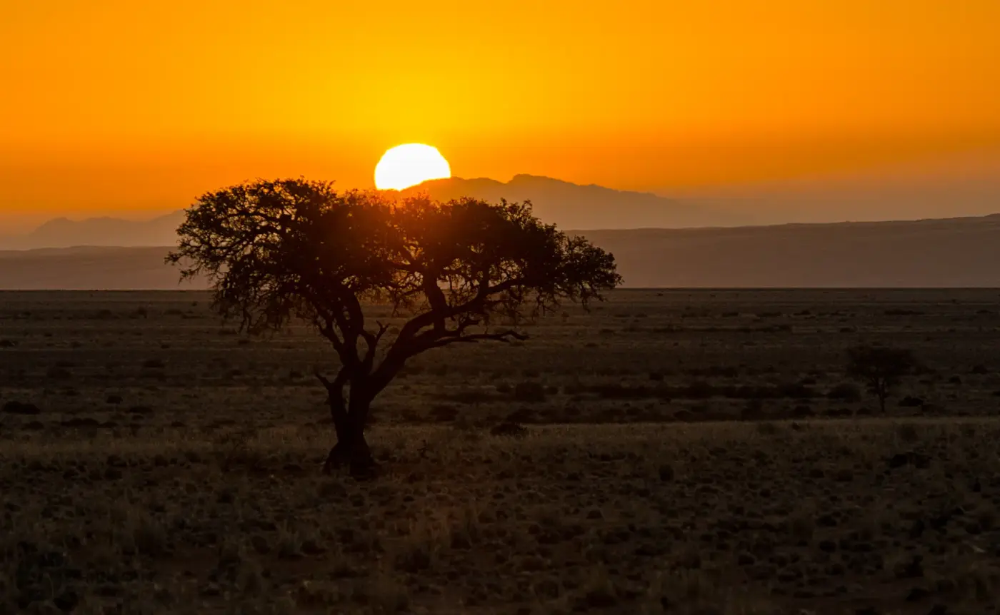 Sonnenuntergang in der südnamibischen Savanne mit einzelstehendem Baum vor einer Gebirgssilhouette