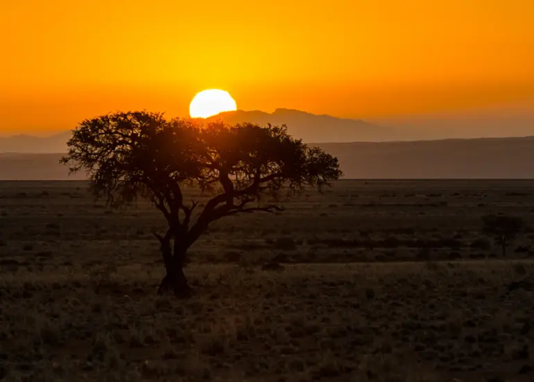 Sonnenuntergang in der südnamibischen Savanne mit einzelstehendem Baum vor einer Gebirgssilhouette