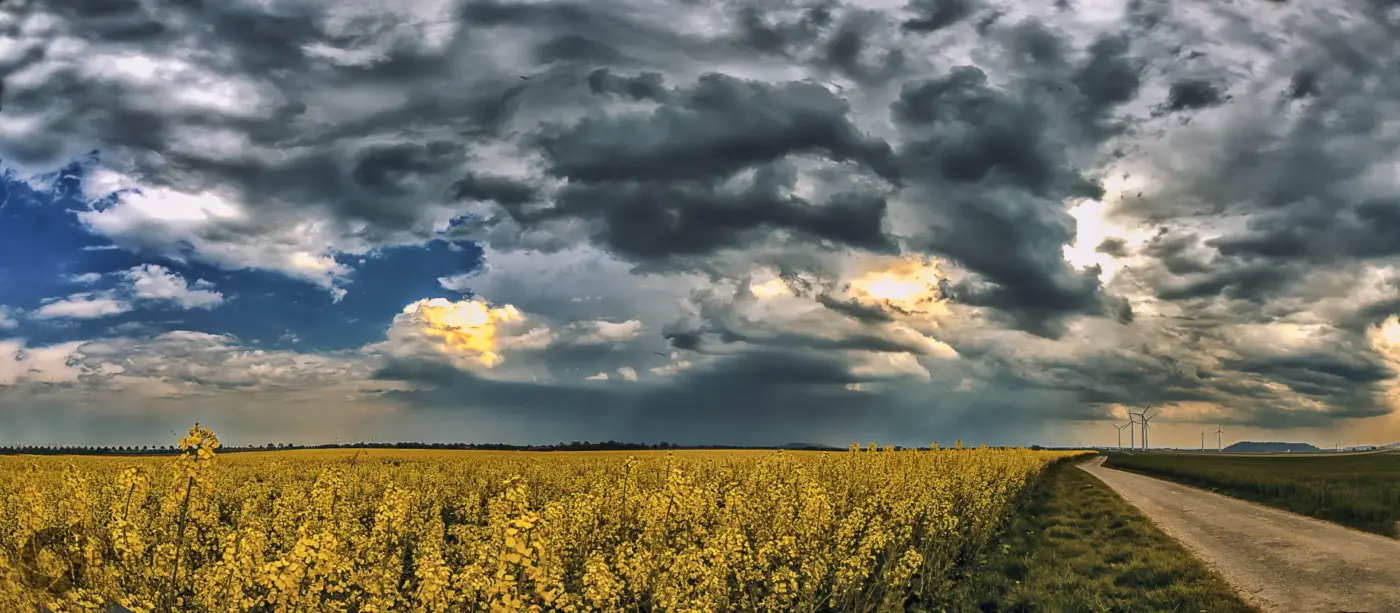 Wolkenverhangener Himmel über einem blühenden Rapsfeld im Kreis Aachen mit Windrädern am Horizont.