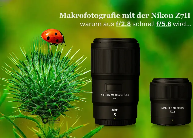 Makrofotografie mit der Nikon Z7 II – NIKKOR Z MC 50mm und 105mm Makroobjektive, effektive Blende erklärt