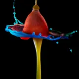 Leuchtender Tropfenpilz