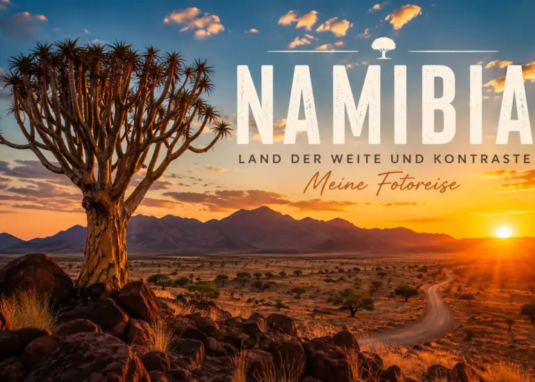 Beitragsbild der Namibia-Galerie mit Köcherbaum, Wüstenlandschaft und Sonnenuntergang