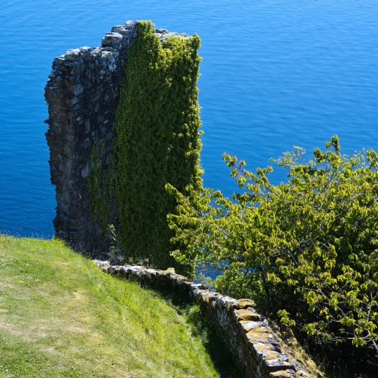Bewachsene Mauer von Urquhart Castle am Loch Ness, mit Blick auf den See und grünem Vordergrund.