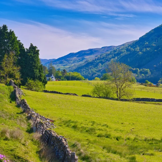 Schottische Hügellandschaft mit Trockenmauer, Wiesen und Talblick bei Invergarry in den Highlands.