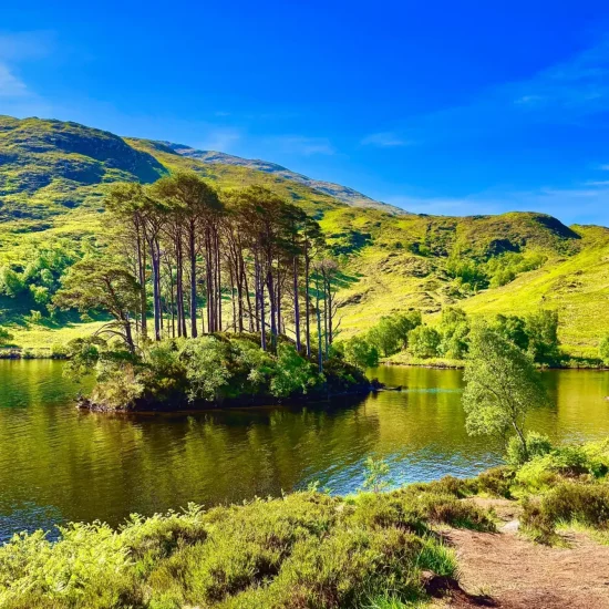 Bewaldete Insel mit Kiefern auf Loch Shiel bei Glenfinnan, umgeben von grünen Highlands und klarem Wasser.