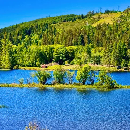 Bewaldete Uferlandschaft und kleine Insel auf Loch Oich mit ruhigem Wasser und grünen Hügeln in den Highlands.